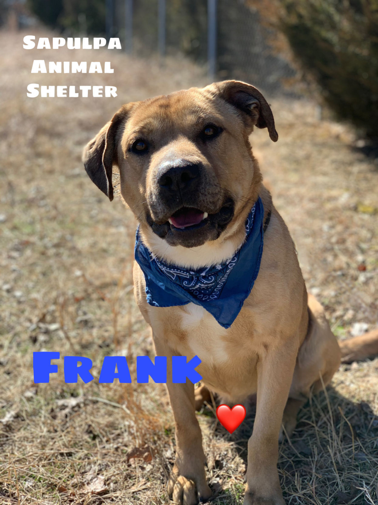 Frank